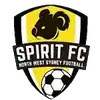 北部精神